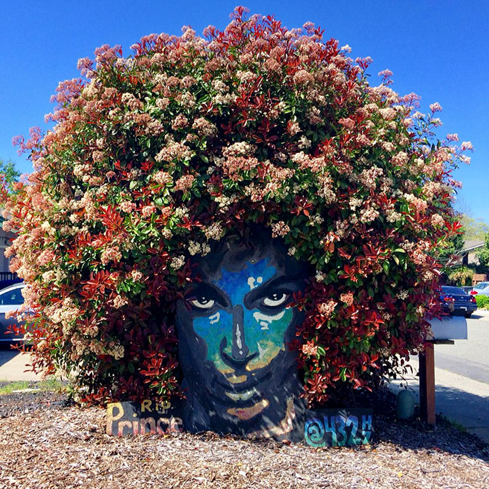Prince Mural Suddenly Grows Magnificent Flowery Crown And It's The Most Beautiful Tribute