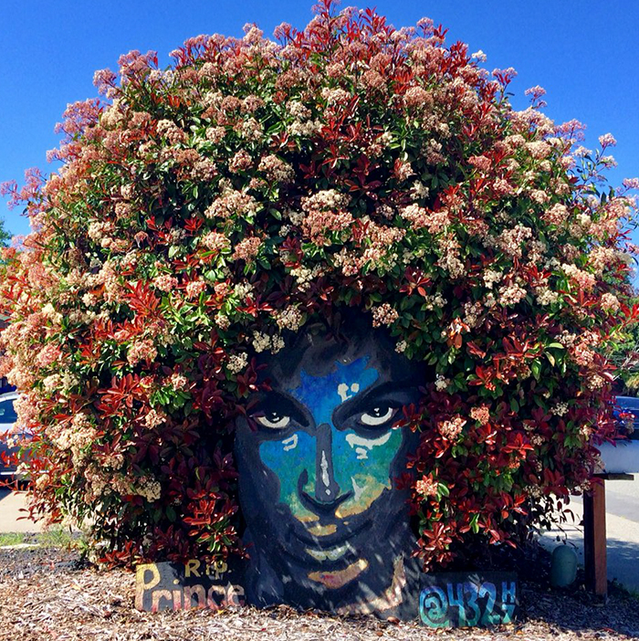 Prince Mural Suddenly Grows Magnificent Flowery Crown And It’s The Most Beautiful Tribute