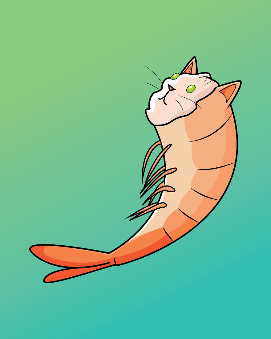 Shrimp Cat