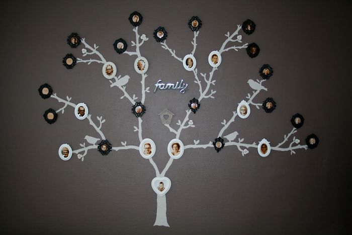This Family Tree I Made On Our Wall