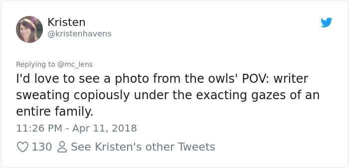 The Internet Can't Stop Laughing At These Owls Who Were Born Outside Of Office Window And Now Do This