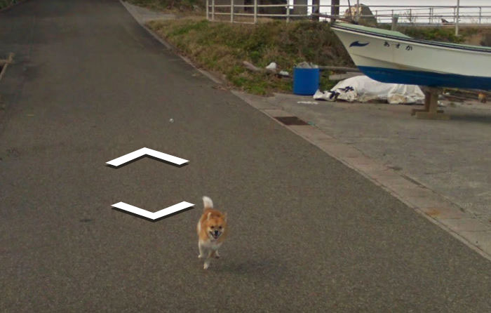 Dog Follows Google Street View Car In Japan, Hilariously 'Ruins' Each And Every Photo