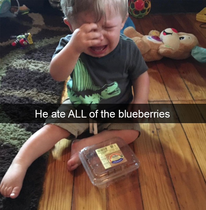 He Ate All Of The Blueberries