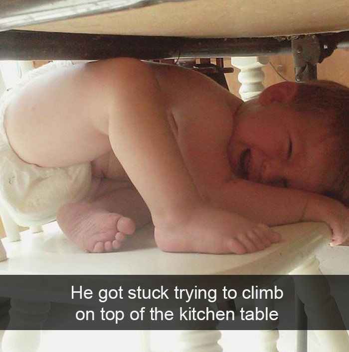 He Got Stuck Trying To Climb On Top Of The Kitchen Table
