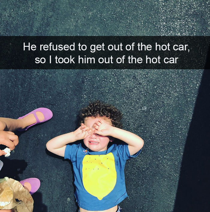 He Refused To Get Out Of The Hot Car, So I Took Him Out Of The Hot Car