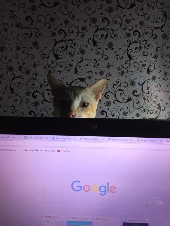 He's Spying On Me