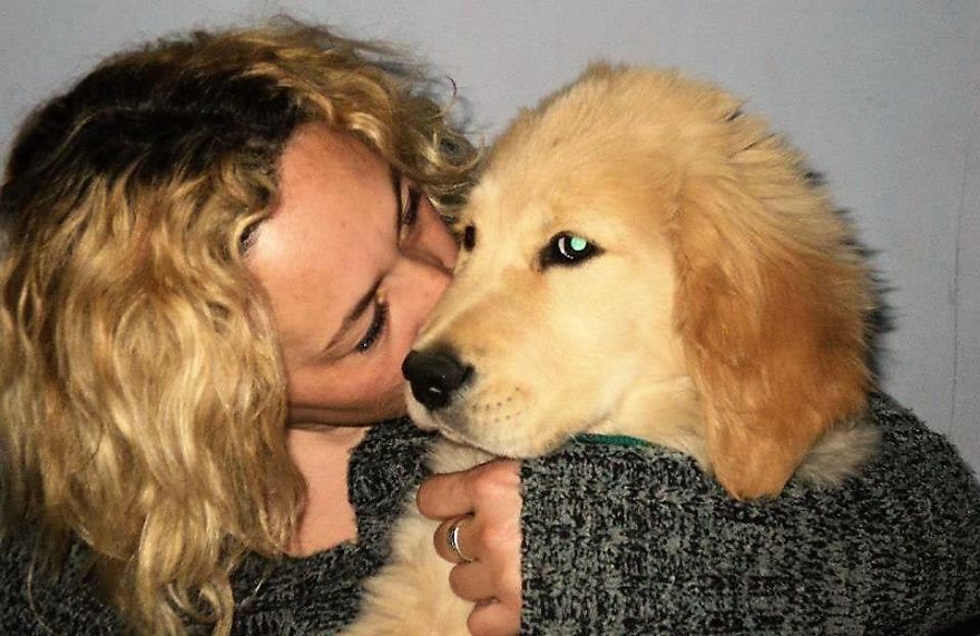 Desperate Woman Offers Her Car To Anyone Who Finds Her Beloved Dog That Was Stolen