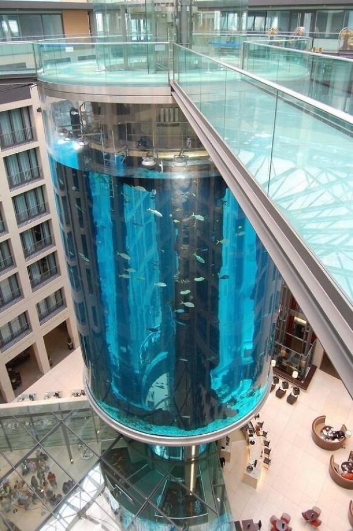 Ascensor dentro de un acuario en Berlín, Alemania