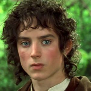 frodobaggins avatar