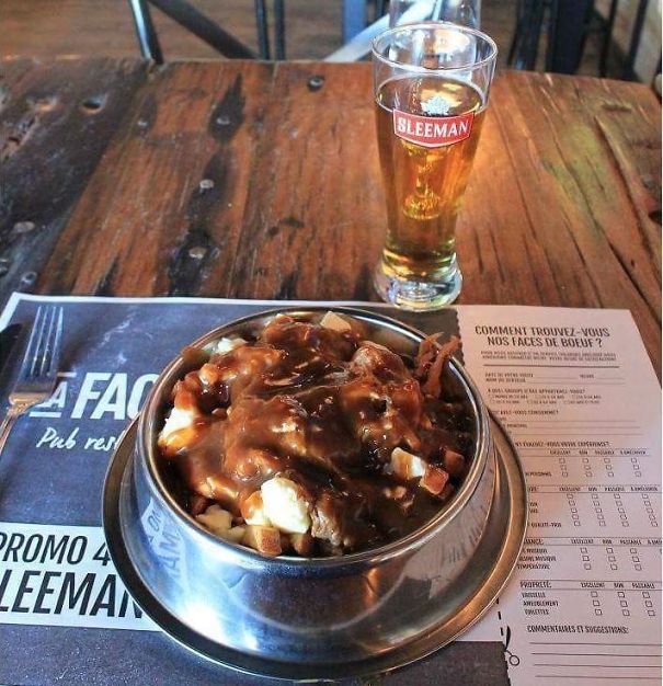 A Poutine In A Dog Bowl... I Think They're Just Humiliating Us At This Point