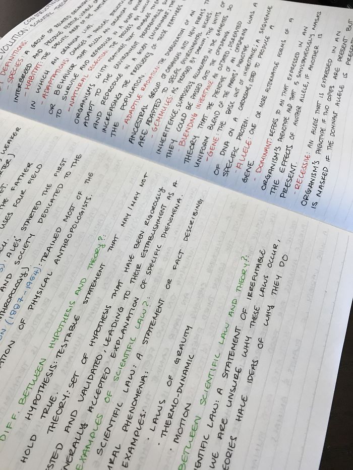 Not Super Fancy, But My Everyday Handwriting, Anthropology Notes