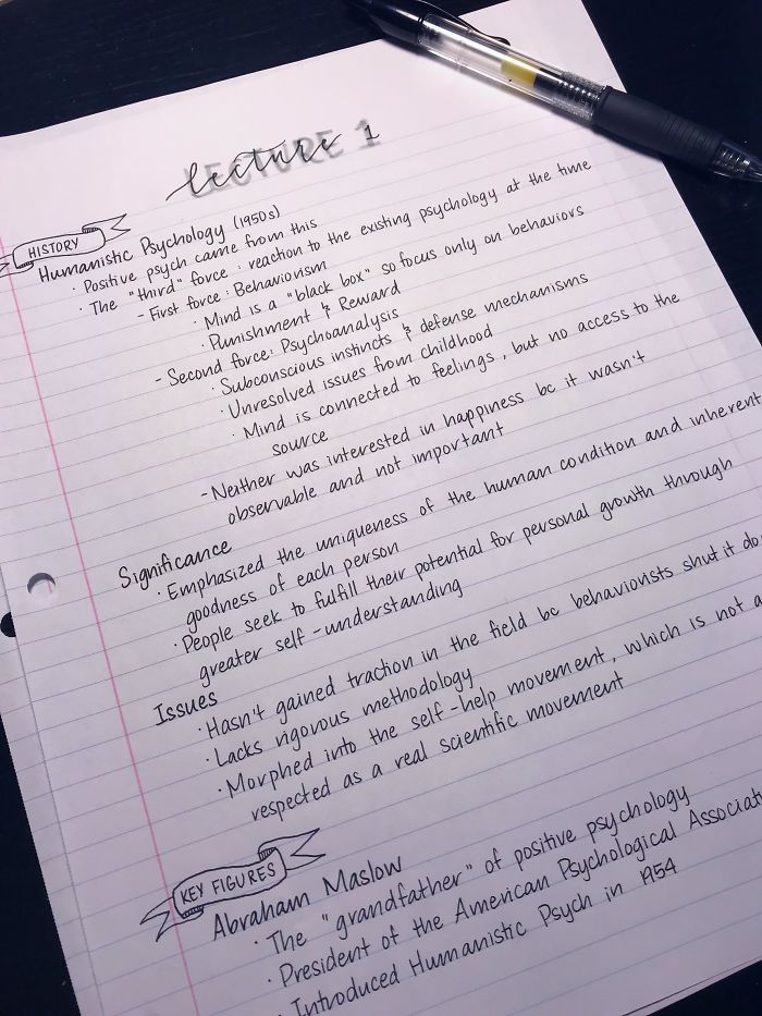 Beginning Of The Semester Notes Are Always In Tip Top Shape