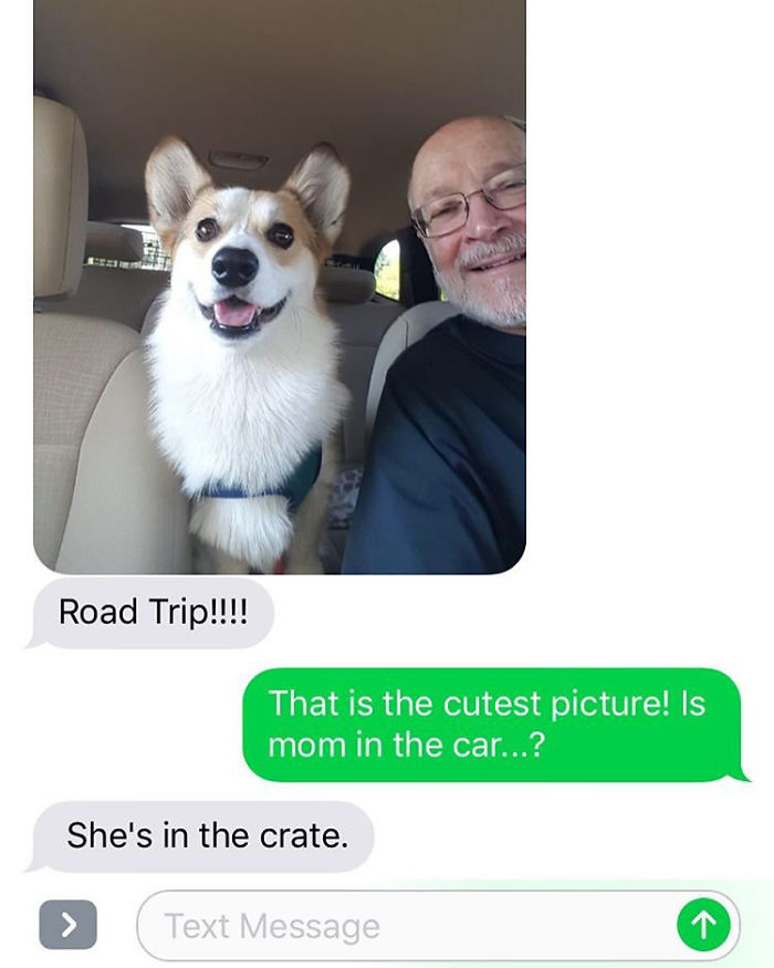 Not Sure What's Cuter, My Dog Or The Excitement My Parents Have When They Dogsit Him