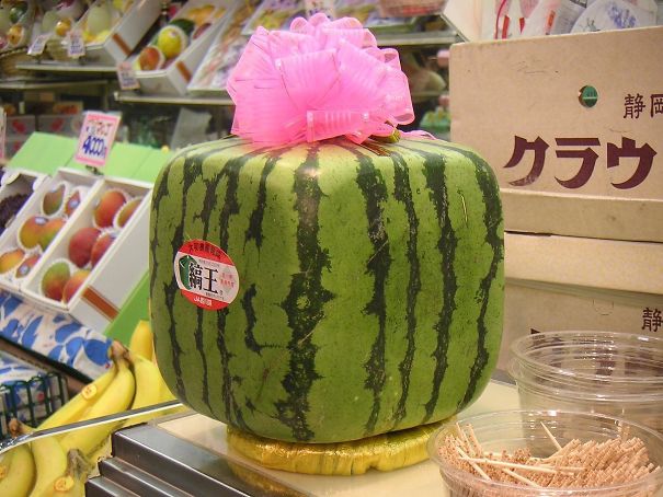 In Japan They Sell Square Watermelons To Fit Better In The Refrigerator