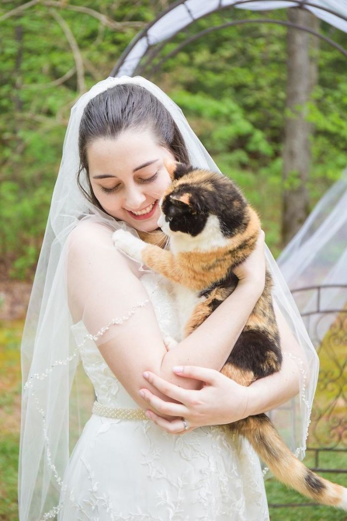 My Cat Kept Photobombing On My Wedding Day, So I Made Sure To Get Some Photos Exclusively With Her