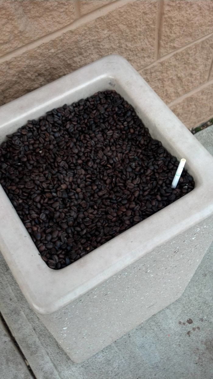 The Dunkin Donuts Near Me Uses Coffee Beans In Their Ashtray