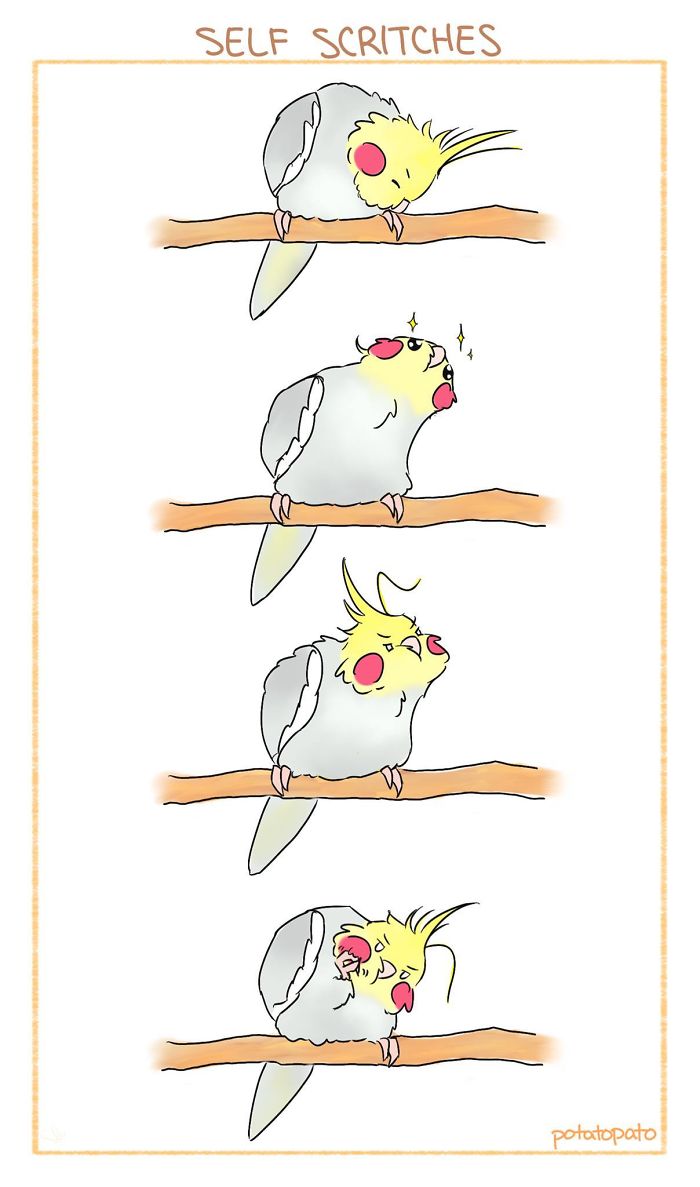 Repeat After Me: I Am A Strong, Independent Bird...