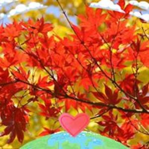 applemaples13 avatar