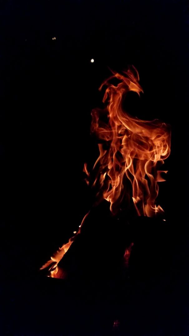 Took A Picture Of My Fire Pit Last Night And Accidentally Caprured A Dragon