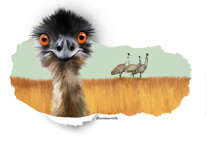 9 Illustrations Of Animals With Funny Expressions