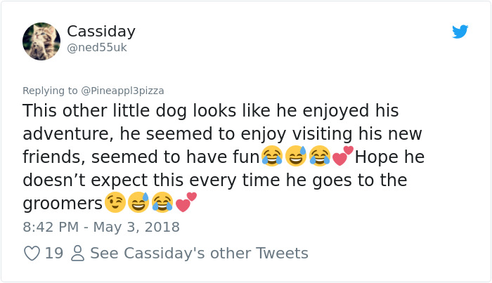 Son Notices Something Weird When His Dad Picks Dog Up From Groomer, And People Are Dying From Laughter