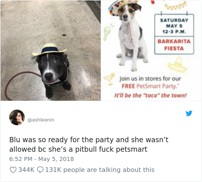 This Adorable 9-Week-Old Puppy Wasn't Allowed To A Puppy Party Because Of Her Breed And People Are Not Happy