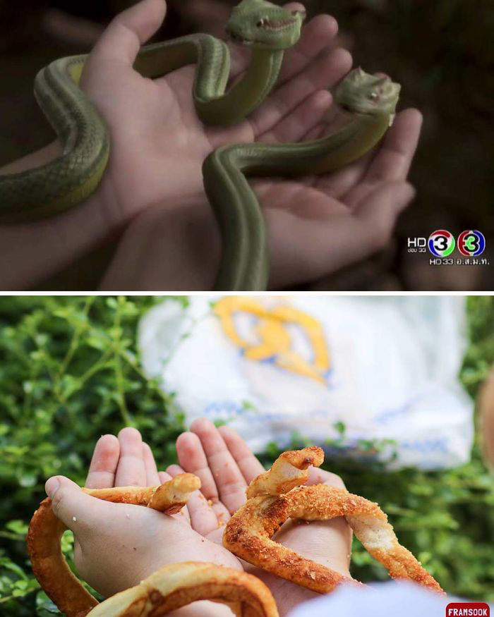 Food Snakes