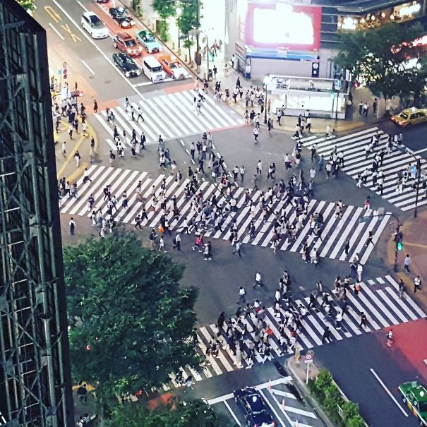 There Are Over 300 Scramble Intersections In Japan Where You Can Cross A Street Diagonally