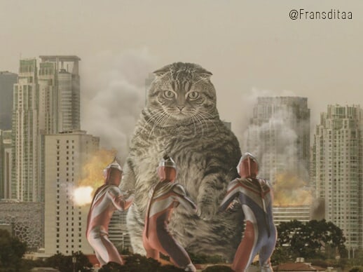 Giant Cat Edit