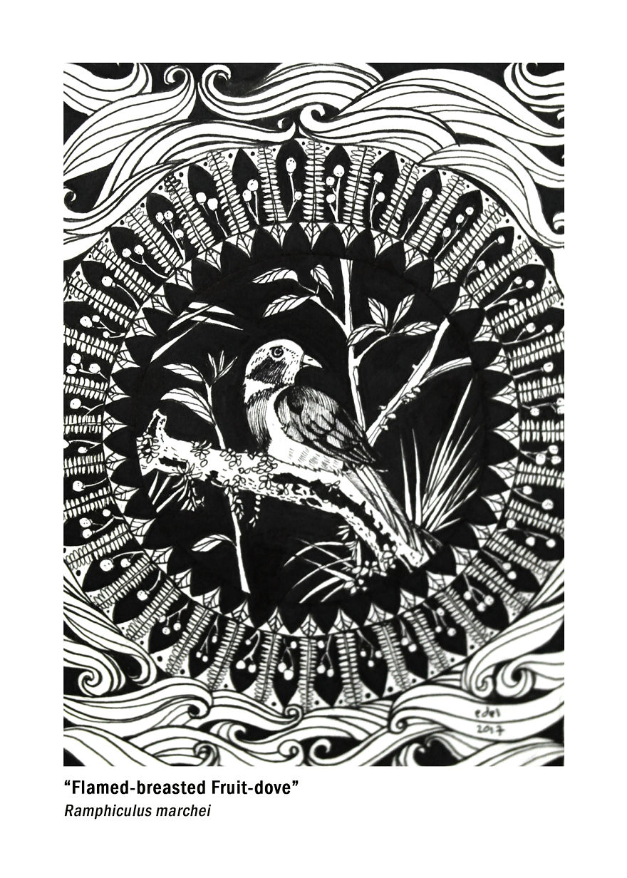 I Use Mandala Inspired Artworks To Promote Birds In The Philippines