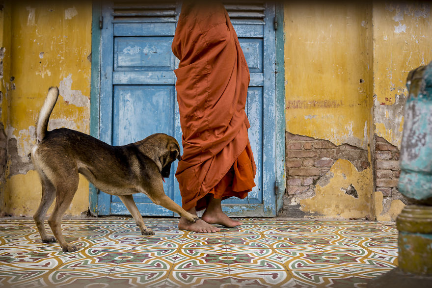 The dog that wants to play with the young monk | www.boredpanda.com