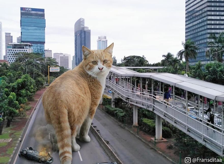 Cats Are Photoshopped Into Giant Cinematic Shots With Unbelievable Results
