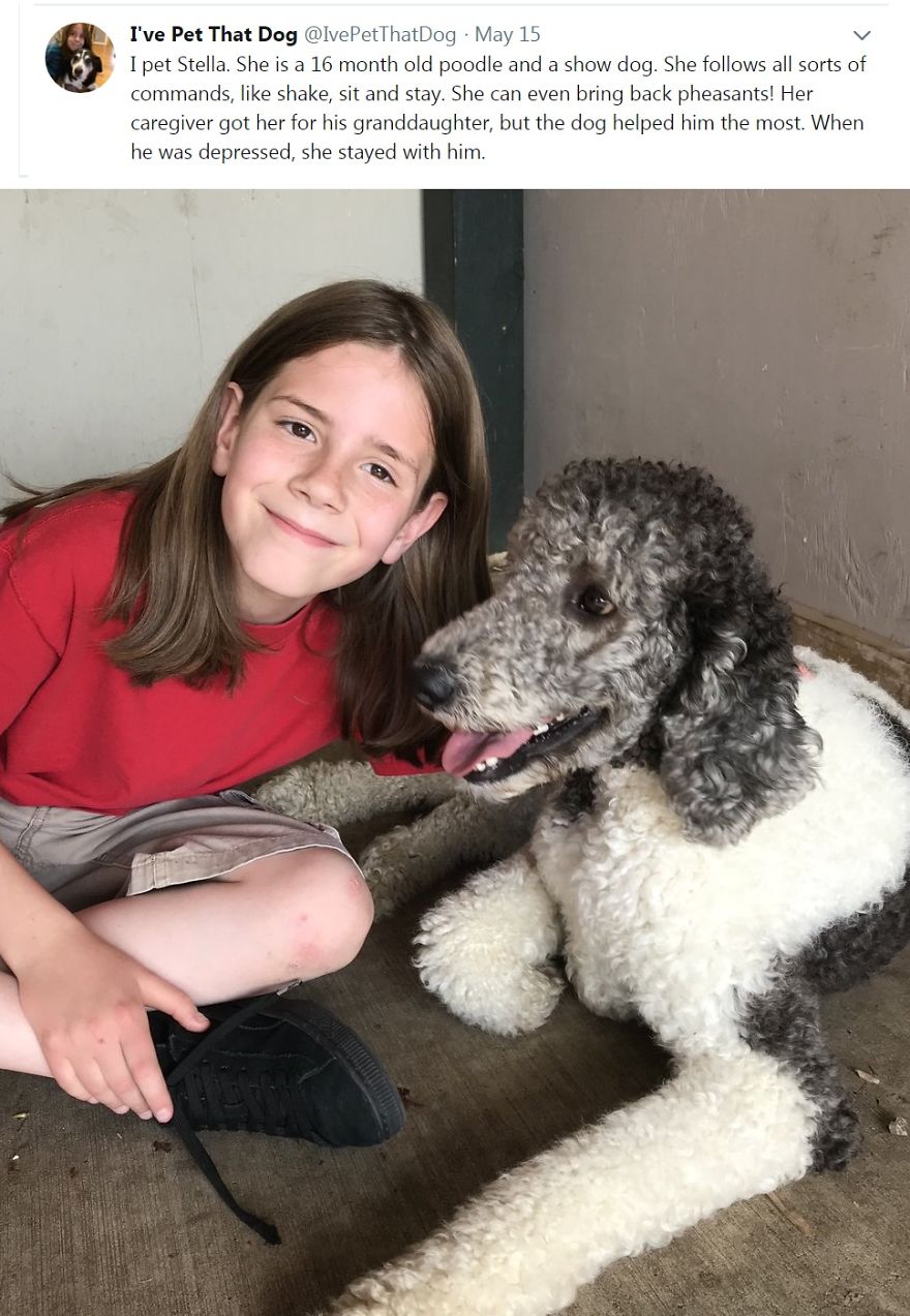 Twitter Is Thrilled With This Nine-Year-Old Blogger Who Has Hugged More Than 300 Dogs, Telling The Story Of Each One