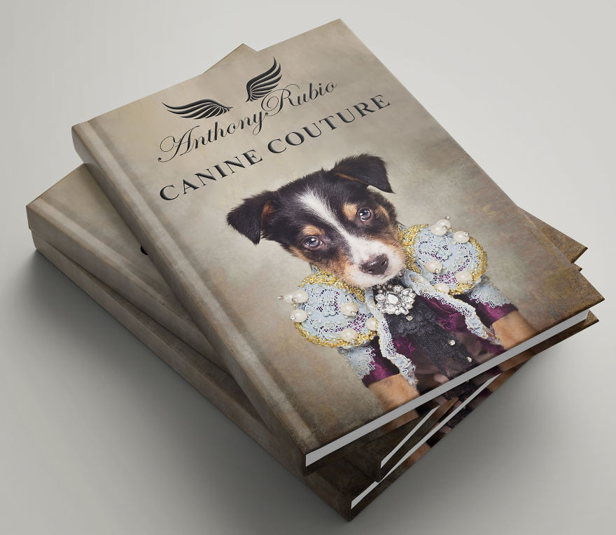 Dogs Wearing Outfits Inspired By Met Gala Heavenly Bodies Exhibit