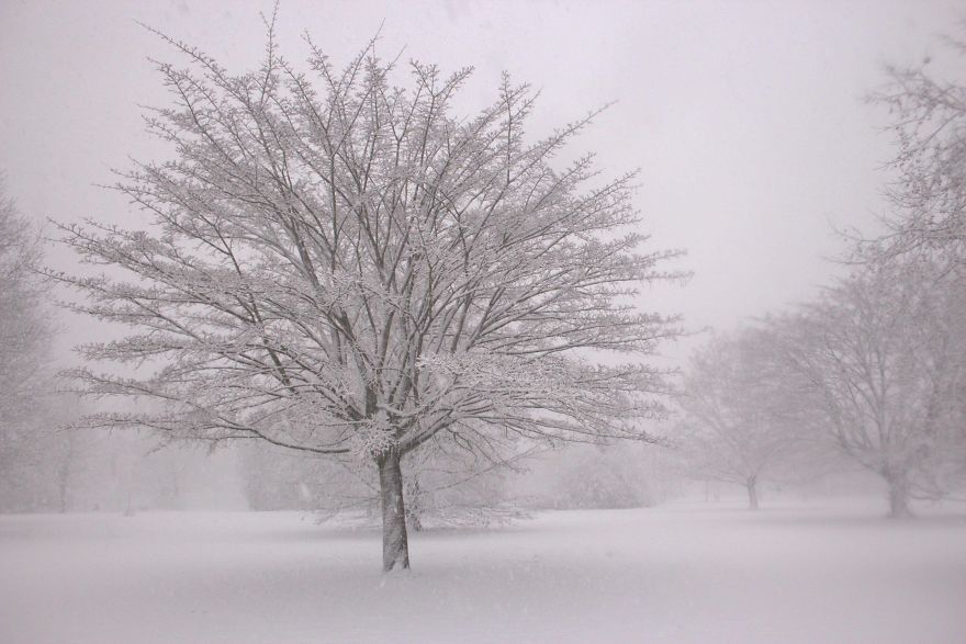 A Collection Of A Few Beautiful Landscapes