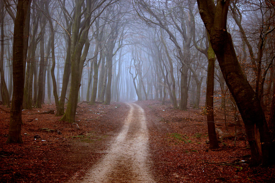 A Collection Of A Few Beautiful Landscapes