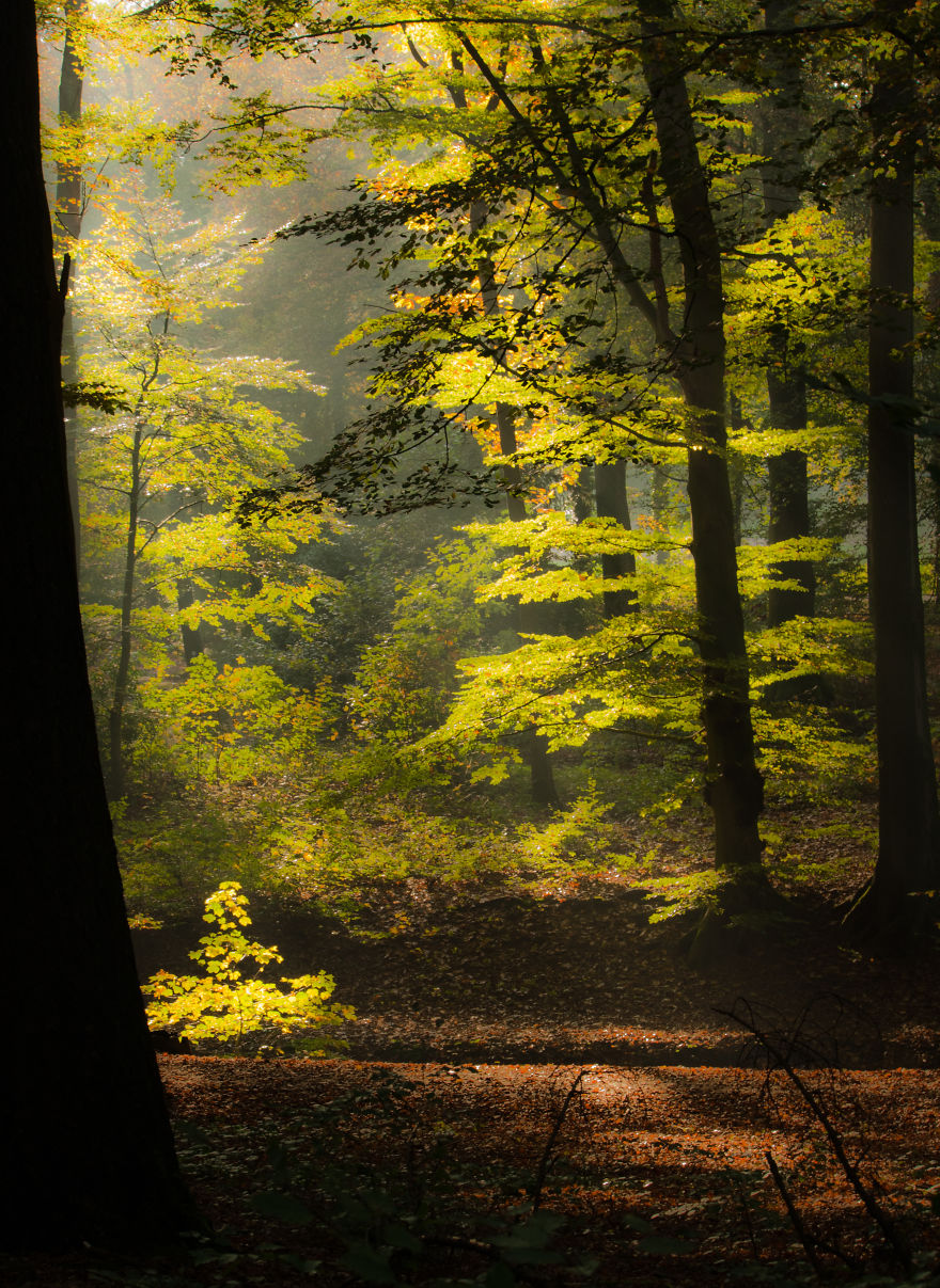 A Collection Of A Few Beautiful Landscapes