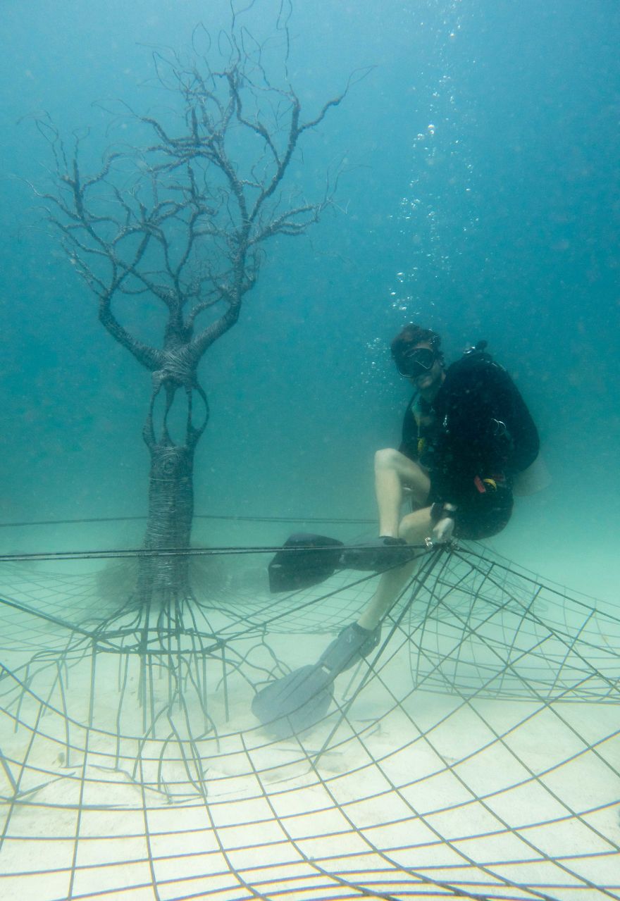 The Tree Of Life: I Created An Underwater Electrified Artificial Reef