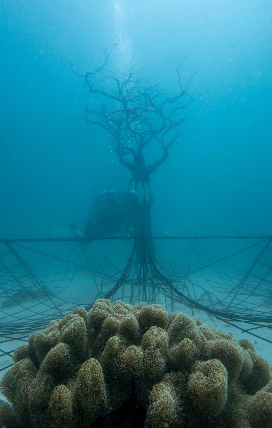 The Tree Of Life: I Created An Underwater Electrified Artificial Reef