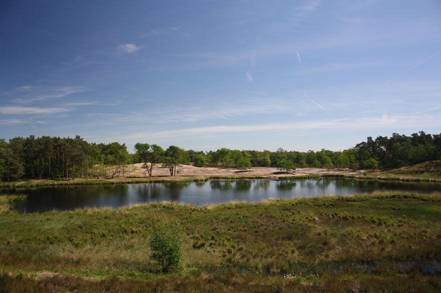 A Collection Of A Few Beautiful Landscapes