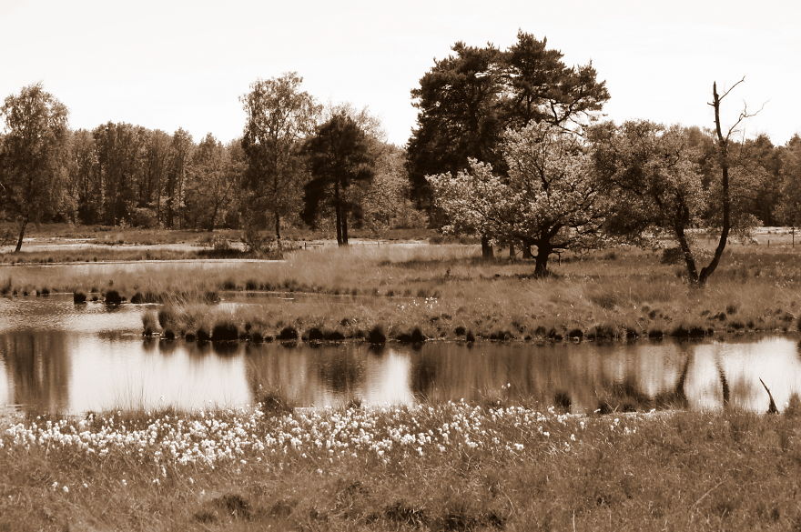 A Collection Of A Few Beautiful Landscapes
