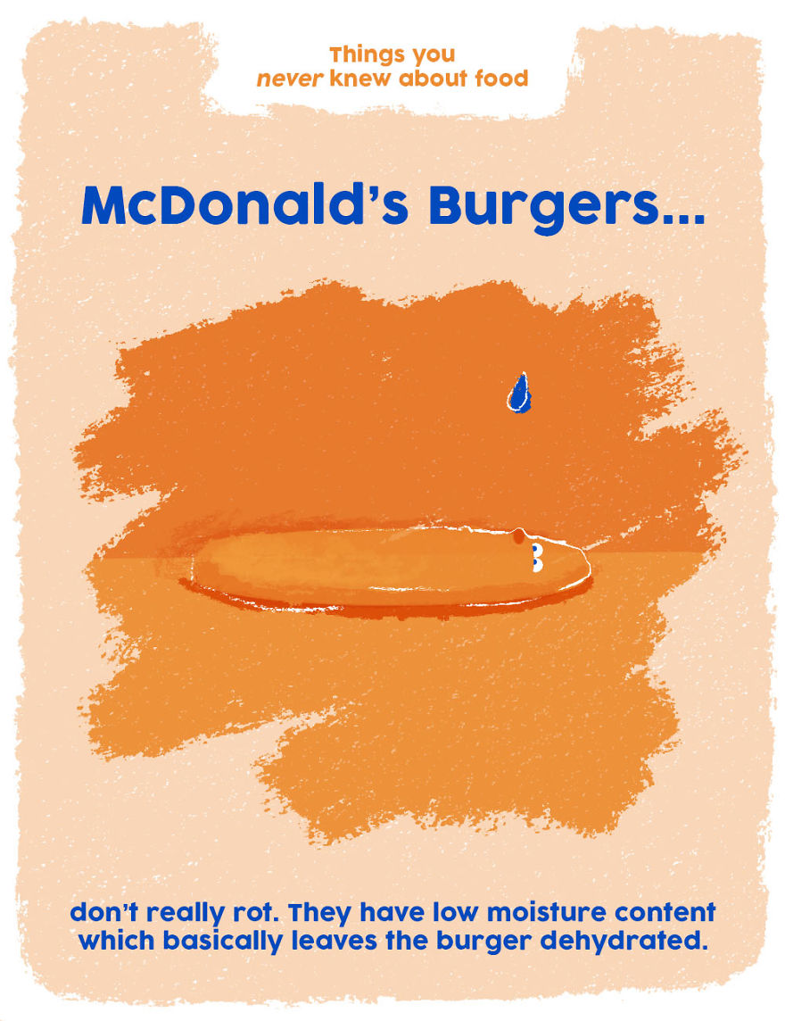 Mcdonald's Burgers Don't Actually Rot!