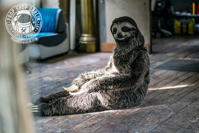 I Created A Realistic Sloth Costume