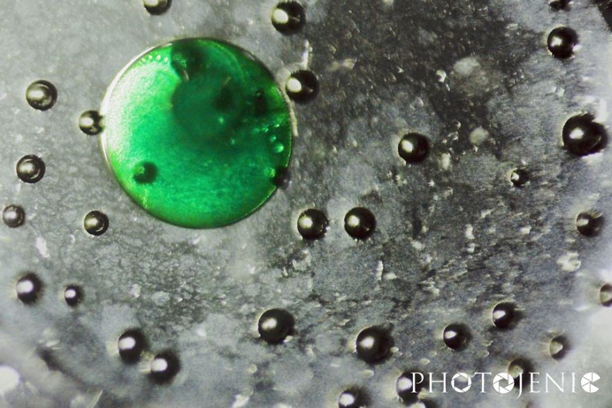 Oil And Water Oil And Water