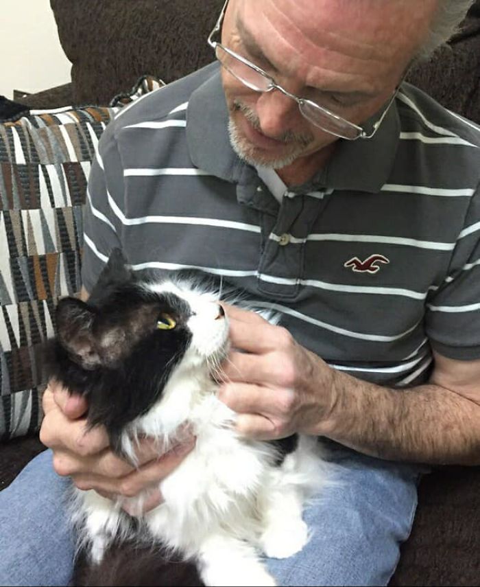 A Sick Cat Close To Death Was Given A Second Chance To Live