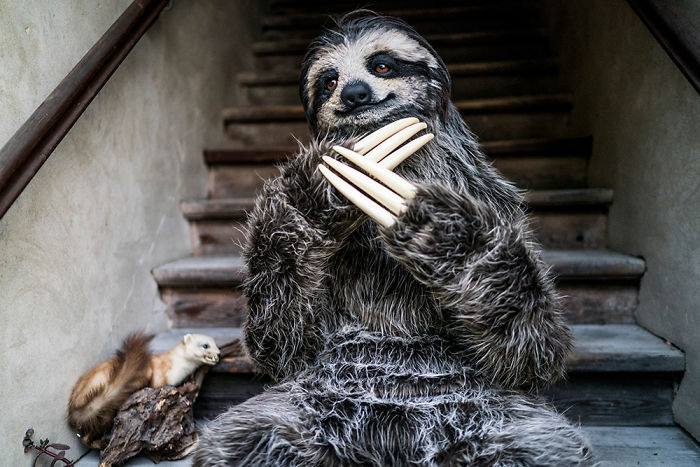 I Created A Realistic Sloth Costume | Bored Panda