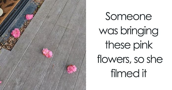 Woman Finally Films The Mysterious ‘Lover’ That Has Been Bringing Her Flowers, And It’s Not What She Expected