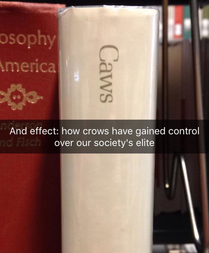 I've Spent The Last Year Adding Dark Humor Subtitles To Library Books...