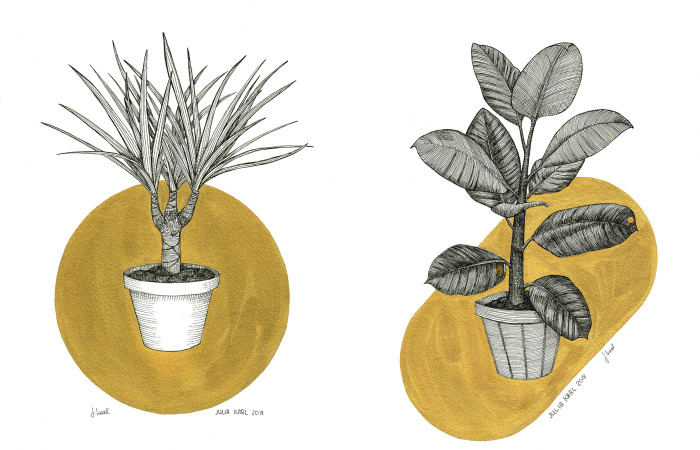 I Use My Plant Obsession To Create Art And You Can Join!