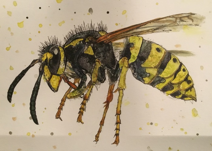 I Started Practicing With Watercolor Paints And Produced These Illustrations